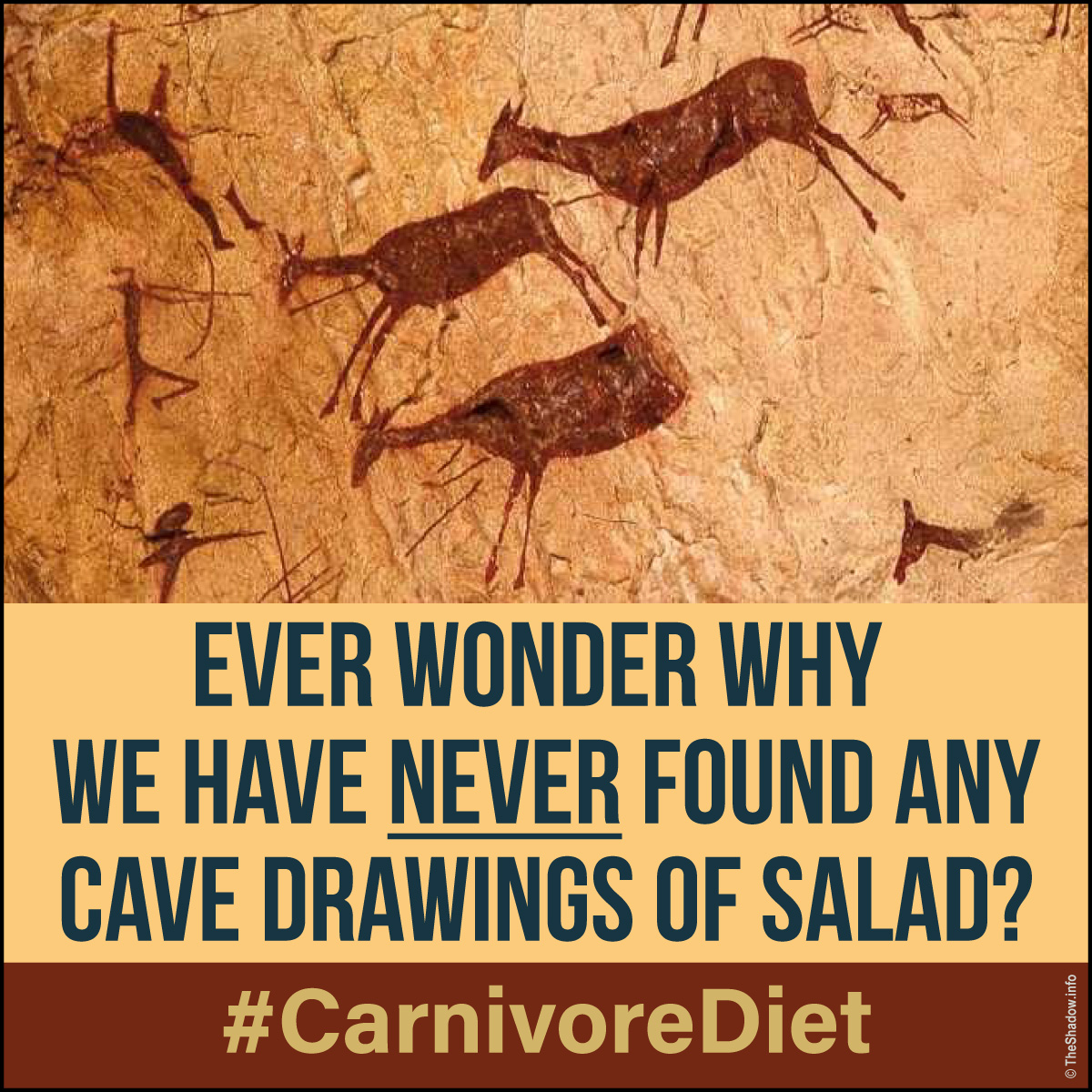 why no salad cave drawings the shadow info meme